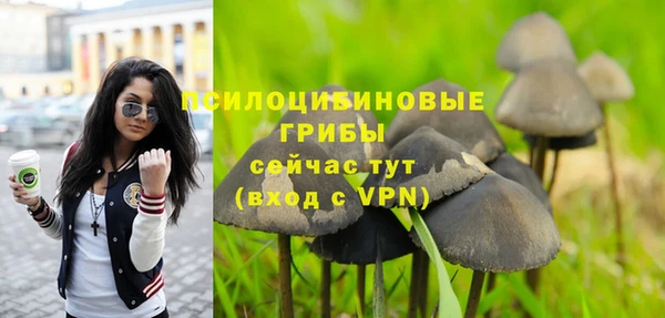 дурь Белокуриха