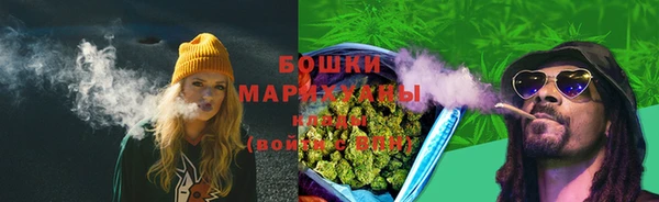 дурь Белокуриха