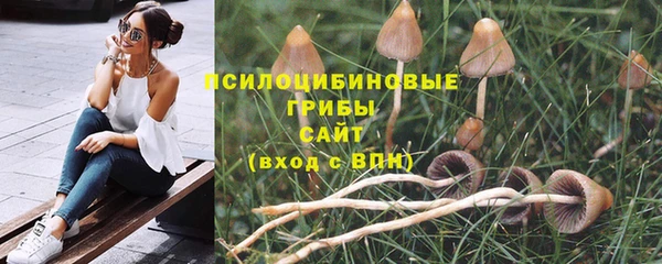 гидропоника Беломорск