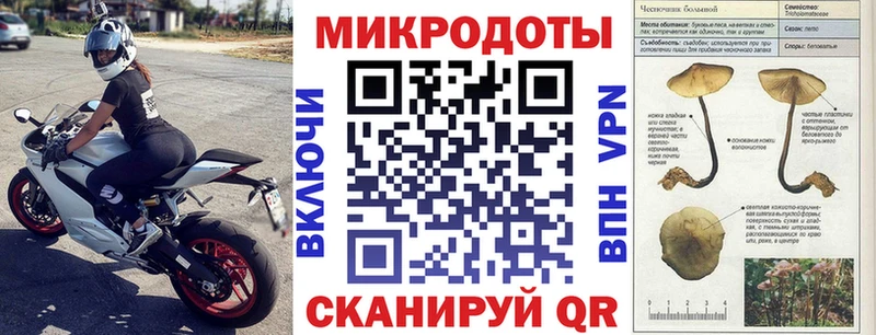 Галлюциногенные грибы Psilocybe Кыштым