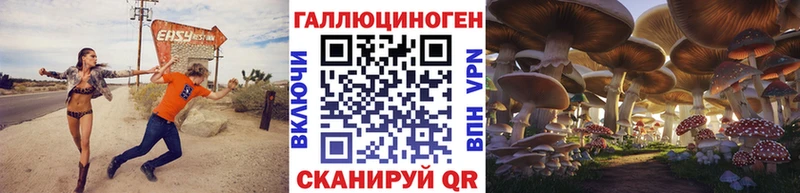 Псилоцибиновые грибы прущие грибы закладки Кыштым